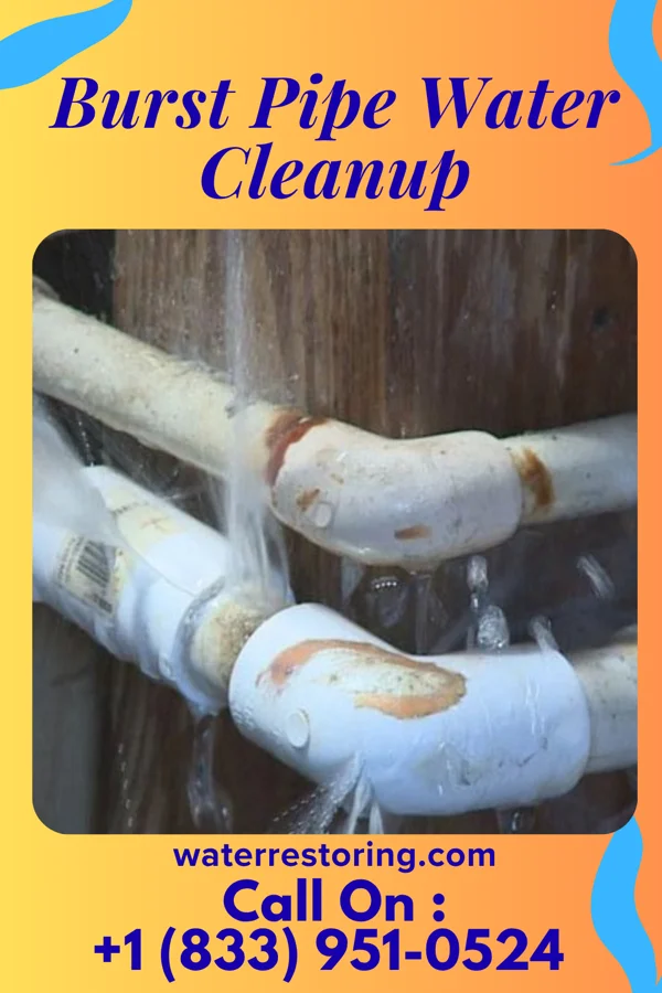 Burst Pipe Water Cleanup in Escudilla Bonita, NM