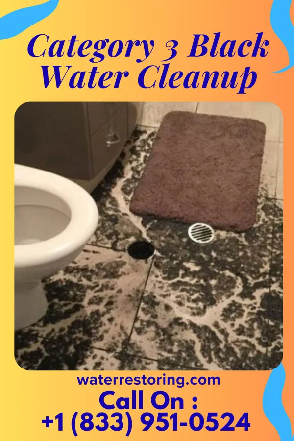 Category 3 Black Water Cleanup in Escudilla Bonita, NM