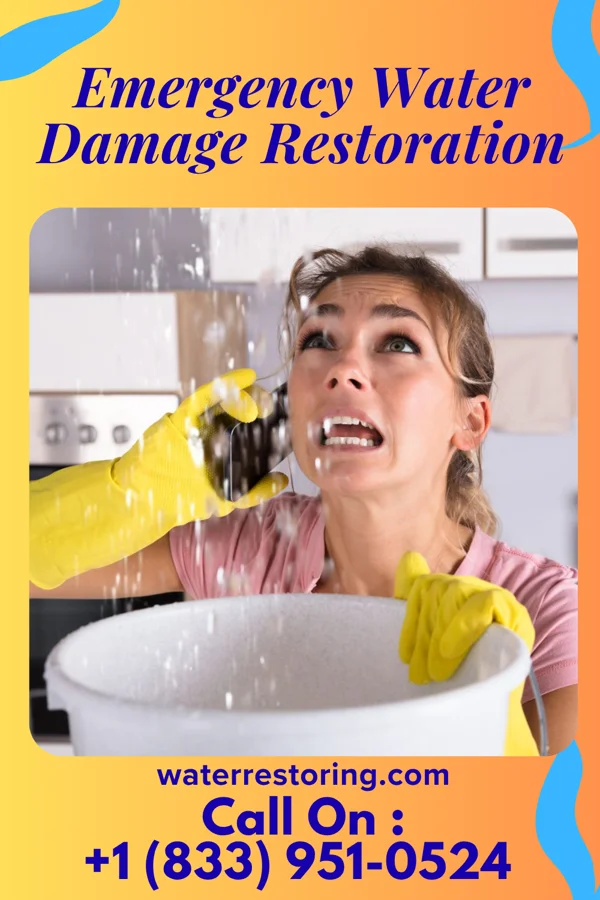 Emergency Water Damage Restoration in Escudilla Bonita, NM