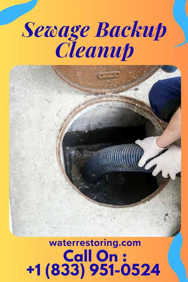 Sewage Backup Cleanup in Escudilla Bonita, NM